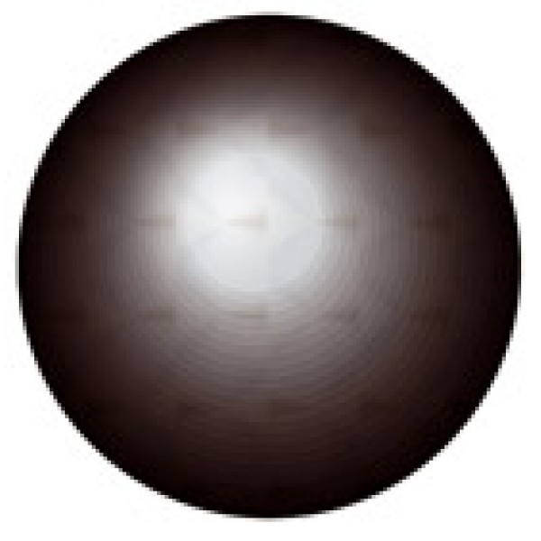 Кружок Ø 1.6 , 15 шт , голография , силикон (черный)