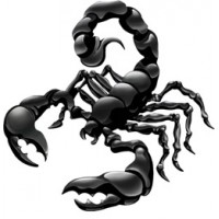 Скорпион чёрный (разм. 31х34)
