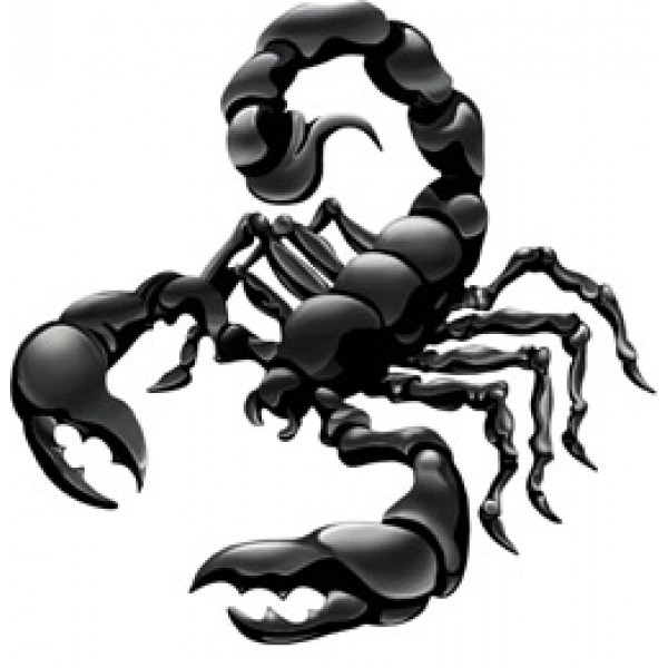 Скорпион чёрный (разм. 31х34)