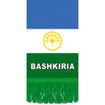 Вымпел Bashiria , бахрома (8х12)